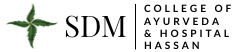 SDM3